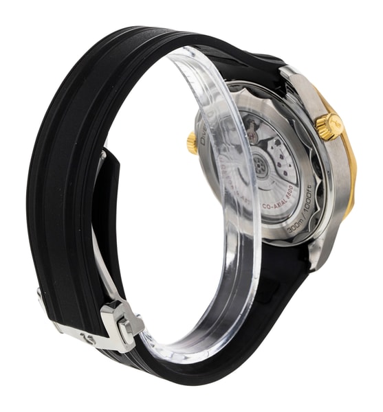 Omega Seamaster Diver 300m 210.22.42.20.01.001